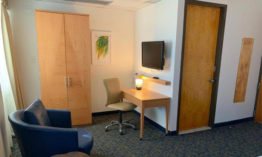 Ficus Hotel San Juan Dış mekan fotoğraf