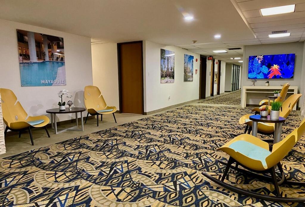 Ficus Hotel San Juan Dış mekan fotoğraf